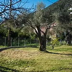 Kostas *