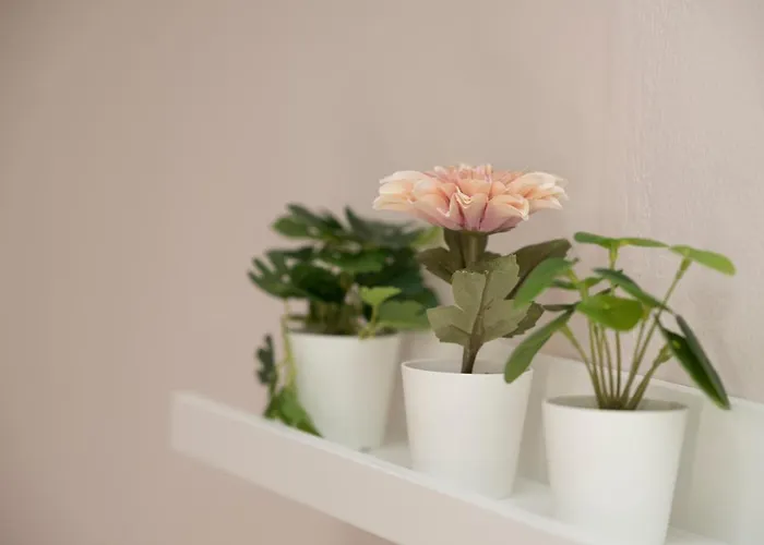 Lägenhetshotell Kostas *